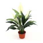 Spathiphyllum artificial cu flori la ghiveci 50cm