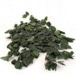 Fag stabilizat verde 40-80cm