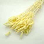 Lagurus premium Galben pal set 100g