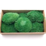 Muschi conservat bombat Dark Green 7-17cm 250g