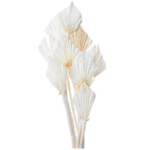 Pachet JUMBO Frunze Palmier Mini Alb x50