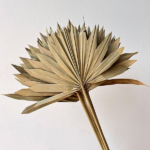 Pachet JUMBO Frunze Palmier soare Mini natur x50