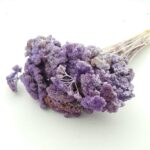 Achillea uscata Mov deschis set 60g