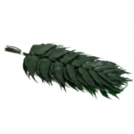 Feriga stabilizata HOL verde set