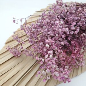 Floarea miresei stabilizata Lila set 40g