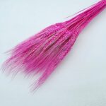 Grau barbos Fuchsia set 80g