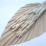 Grau uscat Triticale albit fara mustati set 80g