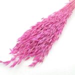 Ovăz sălbatic Roz intens set 100g