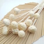 Floare uscata Anghinare ivory set