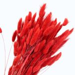 Lagurus premium rosu luminos set 100g