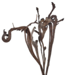 Crengi decorative natur set x10