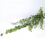 Iedera artificiala verde 110cm
