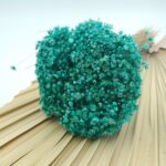 Glixia Marcela Turquoise 75g