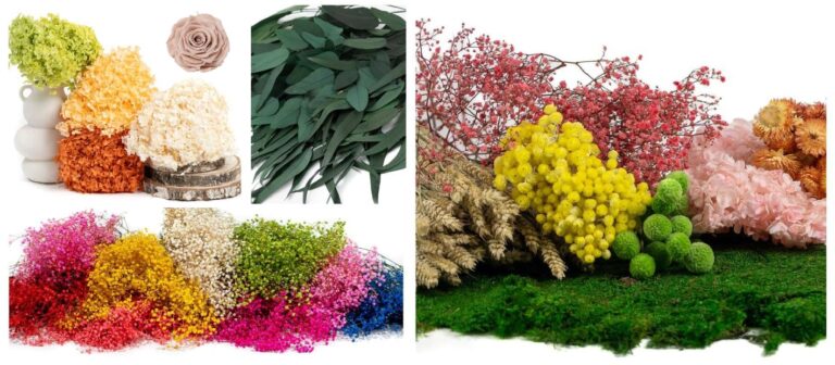 intro artflora plante decorative