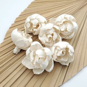 Capete Boboc Bujor 6cm alb natur set x6