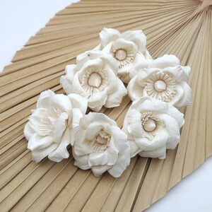 Capete Trandafir WILD 6cm alb natur set x6