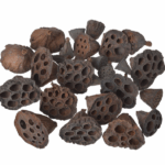 Fructe uscate Lotus natur set x10