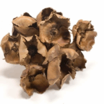 Fructe uscate Palmier natur set x5