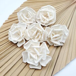 Capete Rosa trandafir 6cm alb natur set x6