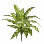 Aglaonema N artificiala variegata tufa 40cm