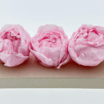 Bujor criogenat set x3 Roz pal