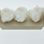 Bujor criogenat set x3 Alb