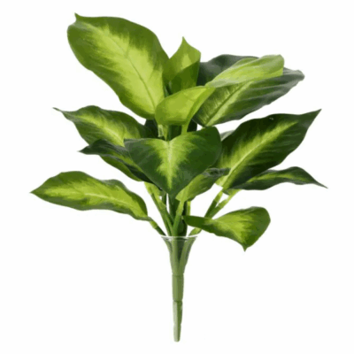 Dieffenbachia artificiala variegata tufa 25cm