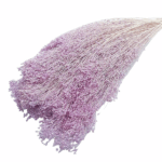 Flori uscate Broom Bloom premium Liliac pal 100g