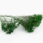 Flori uscate Broom Bloom premium Verde iarba 100g - imagine 2