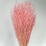 Limonium Pink Blush set 100g