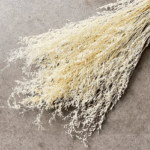 Limonium stabilizat Light Cream set 100g