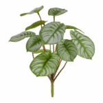 Peperomia artificiala variegata tufa 25cm