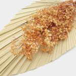 Floarea miresei stabilizata Light Orange set 40g