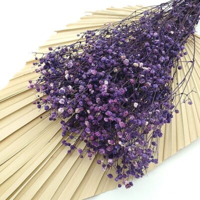 Floarea miresei stabilizata Mov set 40g