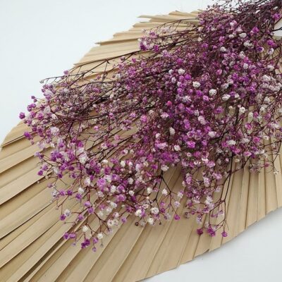 Floarea miresei stabilizata Violet set 40g