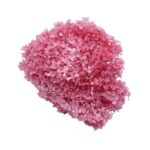 Hortensia stabilizata cu flori mici DARK PINK D20cm