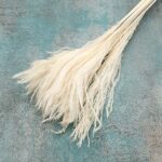 Iarba uscata Feather ivory set