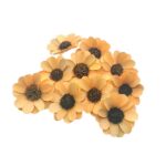 Margarete petale lemn 6cm PEACH x10