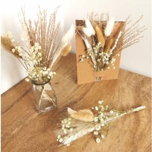 Marturie Flori uscate