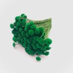 Flori uscate Nasturel Verde Iarba 50cm