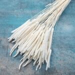 Phleum uscat alb ivoiry set 100g