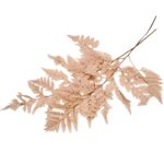 Feriga stabilizata Pteris Cappuccino 40cm set x5