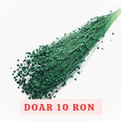 Planta de In Verde inchis DR set 100g