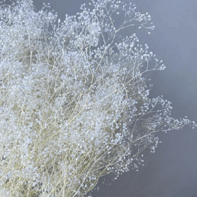 Floarea miresei Gypsophila MINI stabilizata Alb set