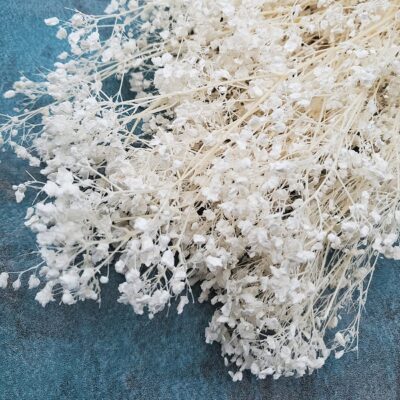 Floarea miresei Gypsophila stabilizata Alb set