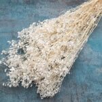 Floarea miresei Gypsophila stabilizata Premium Alb set - imagine 2