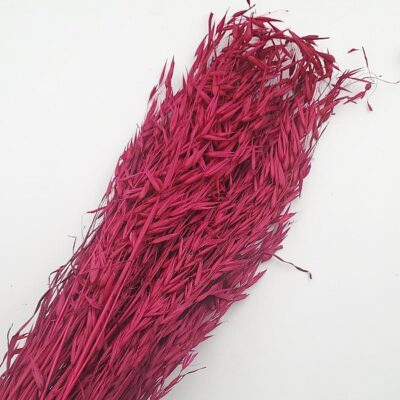 Ovăz sălbatic Magenta 80cm set 100g