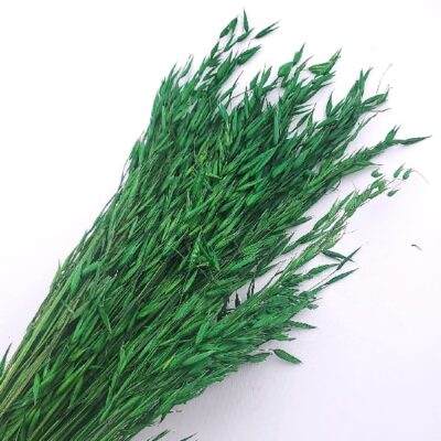 Ovăz sălbatic Verde iarba 80cm set 100g