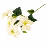 Creanga Poinsettia cu flori Crem 50cm