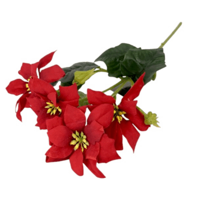 Creanga Poinsettia cu flori Rosii 50cm